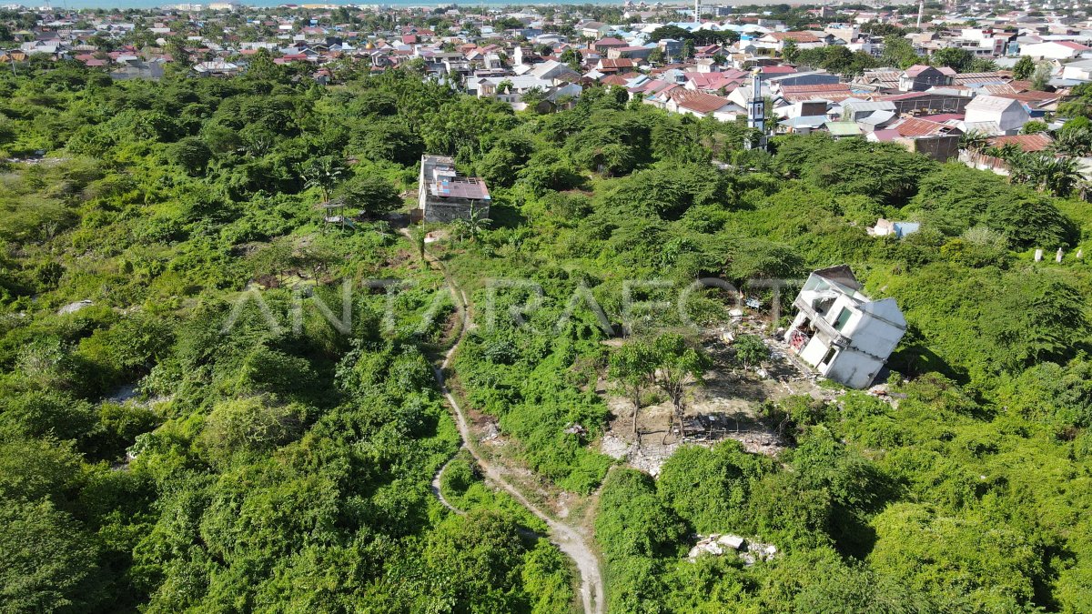 Kawasan Ruang Terbuka Hijau Di Palu Antara Foto