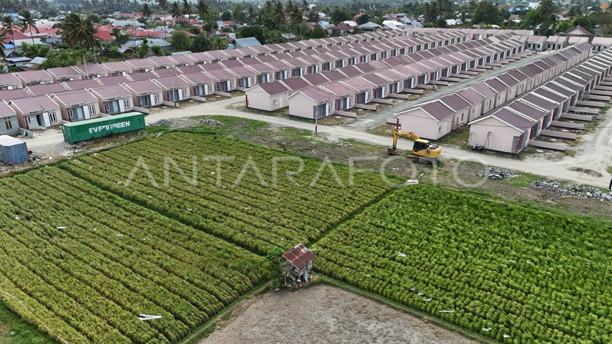 Alih Fungsi Lahan Pertanian Antara Foto