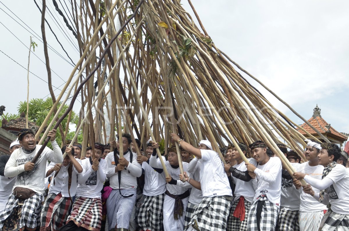 Tradisi Mekotek Di Bali Antara Foto