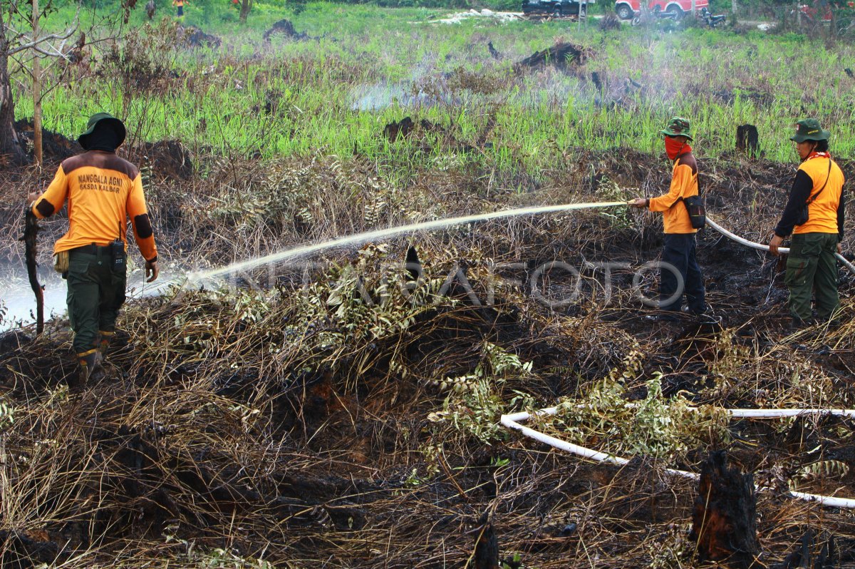 PEMADAMAN KEBAKARAN LAHAN GAMBUT YANG SENGAJA DIBAKAR ANTARA Foto