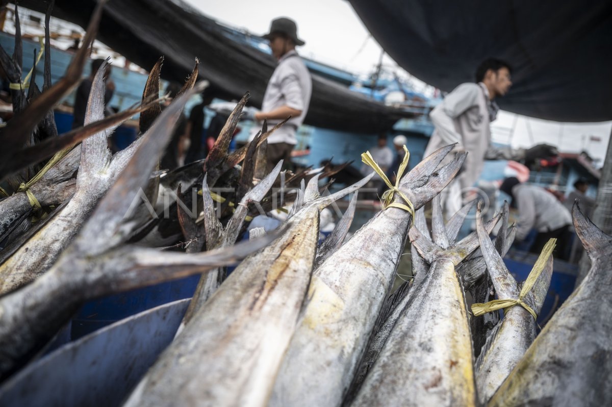 Target Produksi Perikanan Pada Antara Foto