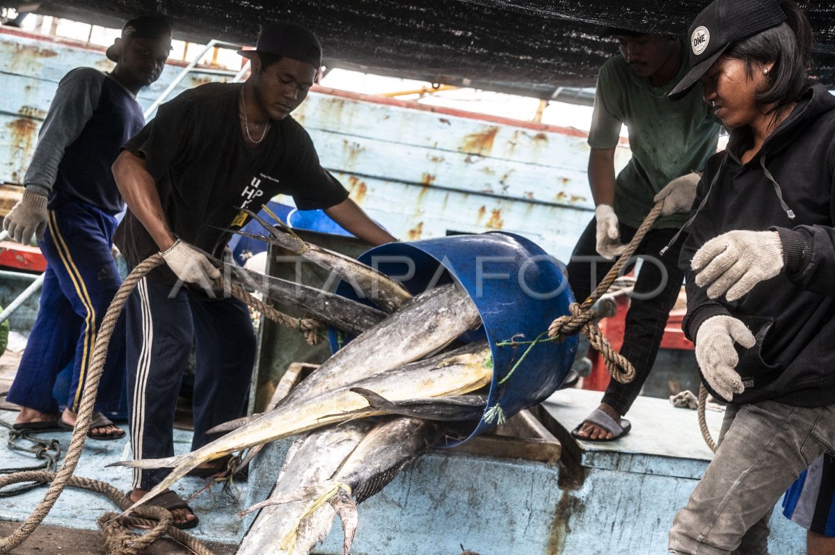 Target Produksi Perikanan Pada 2024 ANTARA Foto