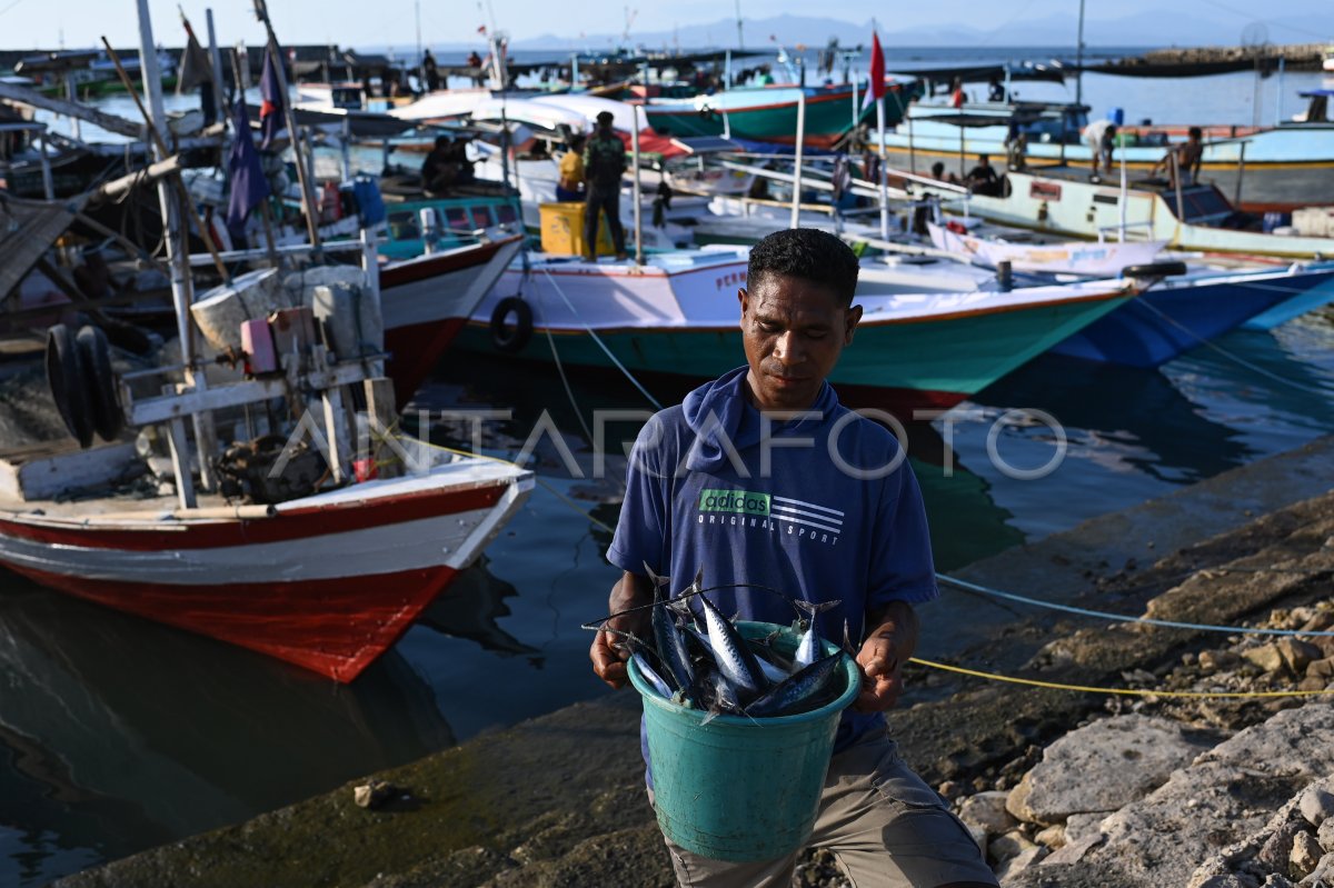 Program Prioritas Untuk Dorong Target Produksi Perikanan Antara Foto