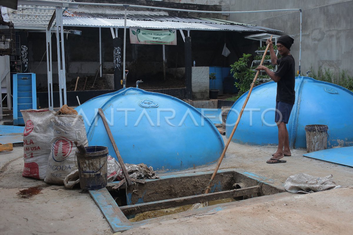 Kotoran Ternak Jadi Energi Biogas Di Jakarta ANTARA Foto