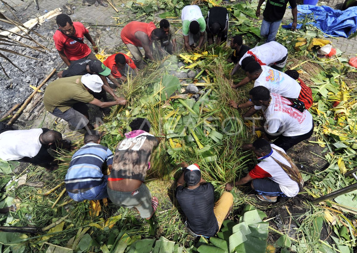 BAKAR BATU ADAT PAPUA ANTARA Foto