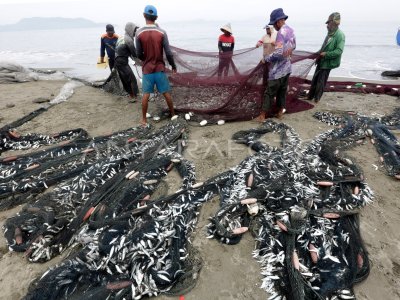 TANGKAPAN NELAYAN TRADISIONAL MELIMPAH ANTARA Foto