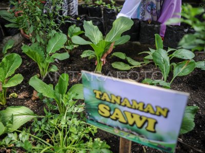 GERAKAN PEDULI STUNTING DI BANDUNG ANTARA Foto