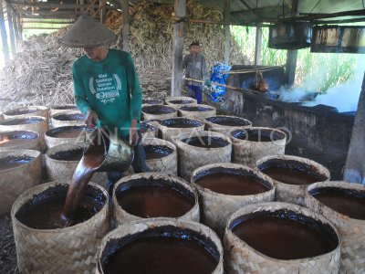 Produksi Gula Merah Di Kudus Antara Foto