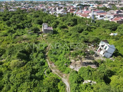 Kawasan Ruang Terbuka Hijau Di Palu Antara Foto