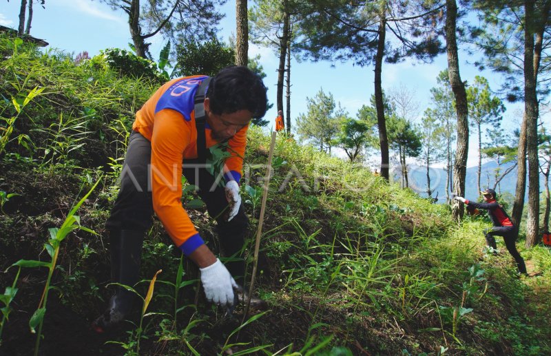 Tanam Bibit Pohon Di Kawasan Rawan Bencana Antara Foto