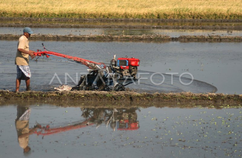 OPTIMALISASI TRAKTOR BANTUAN KEMENTAN ANTARA Foto