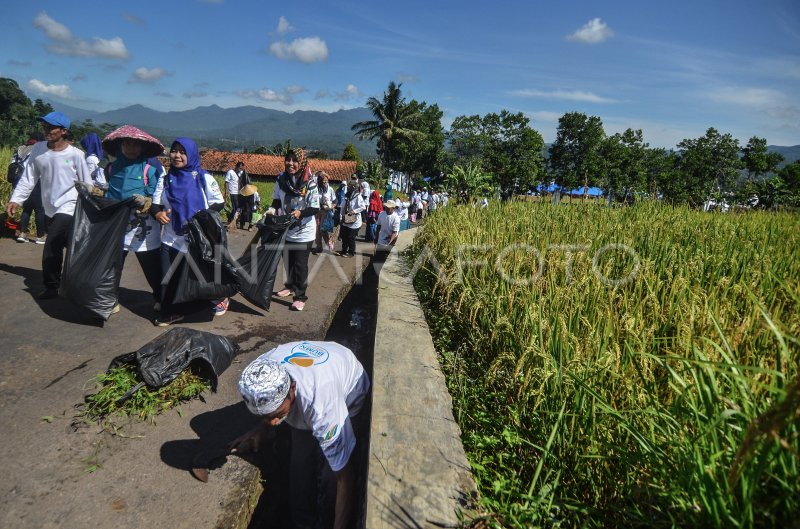 GOTONG ROYONG KAMPUNG SEHAT ANTARA Foto