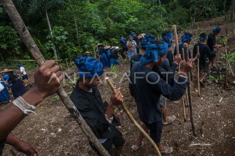 Tradisi Ngaseuk Suku Badui Antara Foto