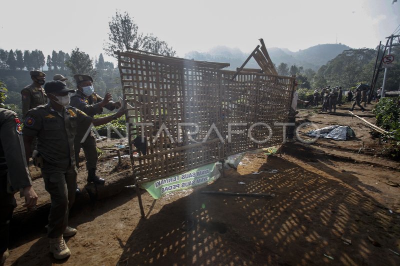 PENERTIBAN PKL DI KAWASAN WISATA PUNCAK BOGOR ANTARA Foto