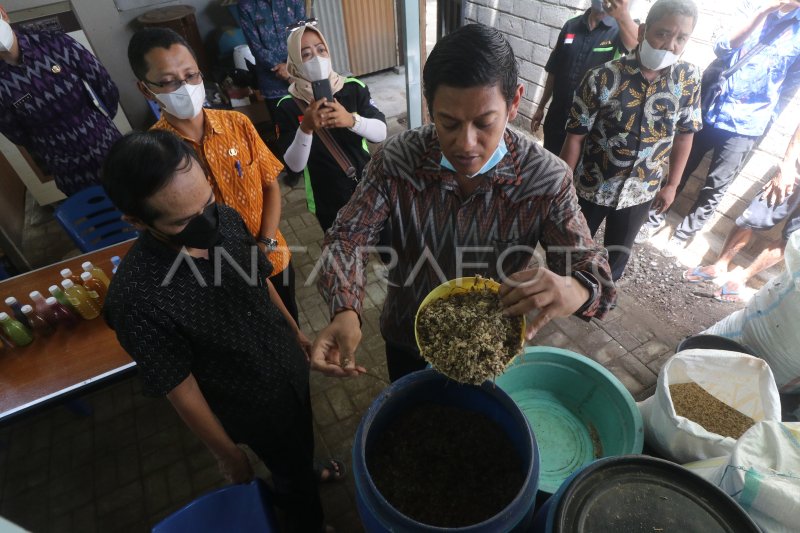 Peternakan Kambing Komunal Prodamas Antara Foto