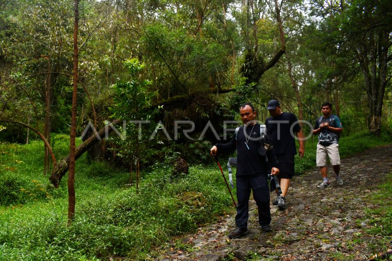 Jalur Pendakian Gunung Lawu Antara Foto