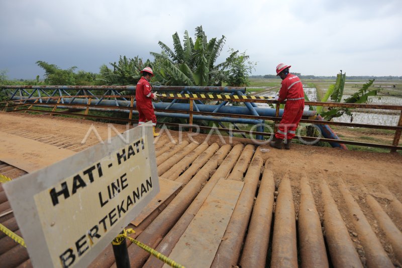 KEBOCORAN PIPA PERTAMINA DI INDRAMAYU ANTARA Foto