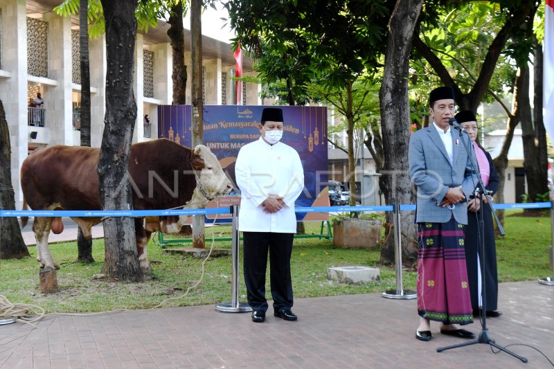 Presiden Serahkan Sapi Kurban Ke Masjid Istiqlal Antara Foto