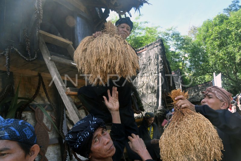 Tradisi Seren Taun Di Kampung Budaya Sindang Barang Bogor Antara Foto