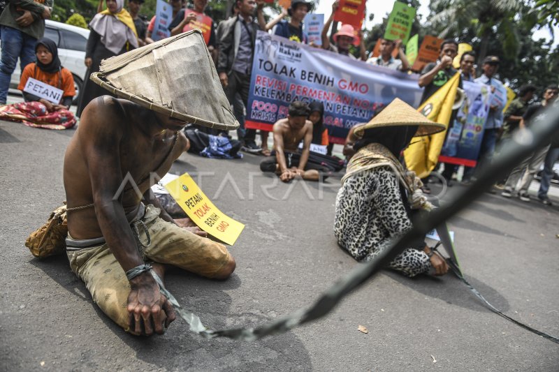 UNJUK RASA SERIKAT PETANI INDONESIA ANTARA Foto