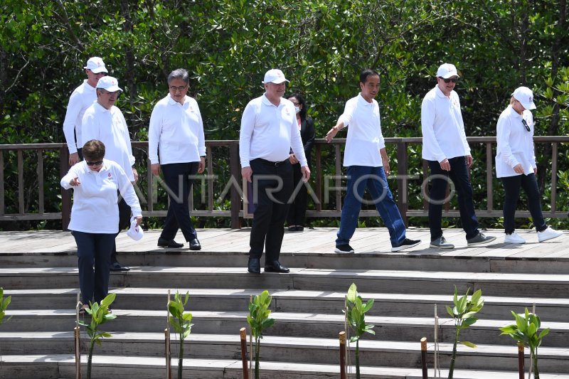 PEMIMPIN NEGARA G20 TANAM POHON MANGROVE DI TAHURA ANTARA Foto