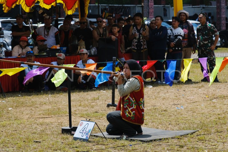 Lomba Menyumpit Gawai Dayak Antara Foto