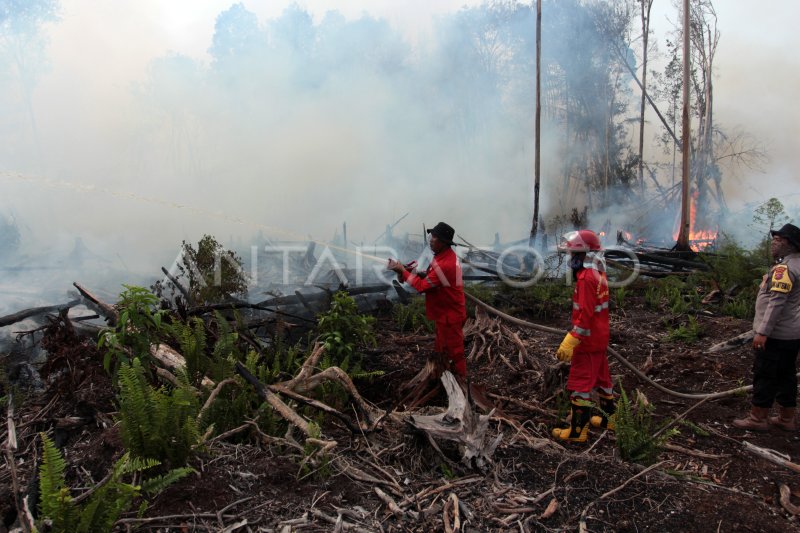 Kebakaran Hutan Gambut Di Sumbar ANTARA Foto