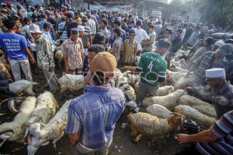 Pasar Hewan Jonggol Jelang Idul Adha ANTARA Foto