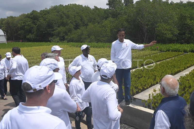 Pemimpin Negara G Kunjungi Tahura Ngurah Rai Antara Foto