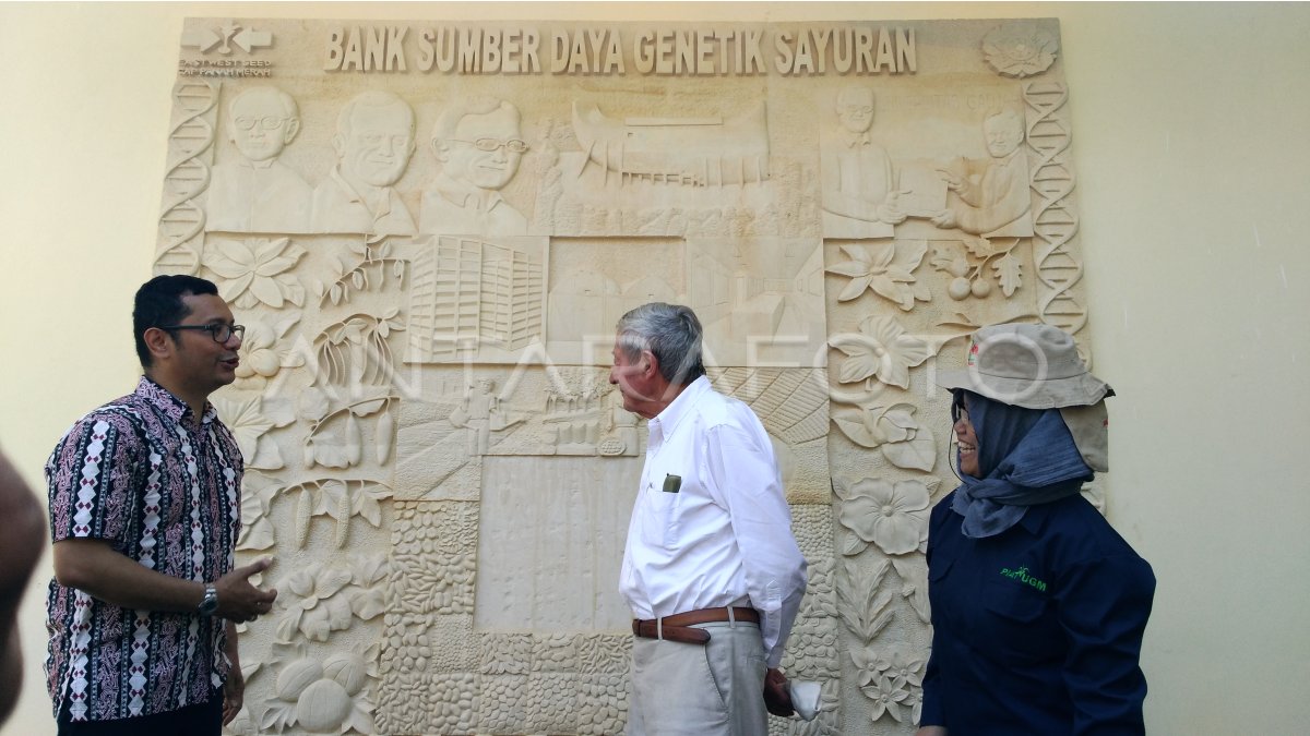 BANK GENETIK SAYURAN PERTAMA