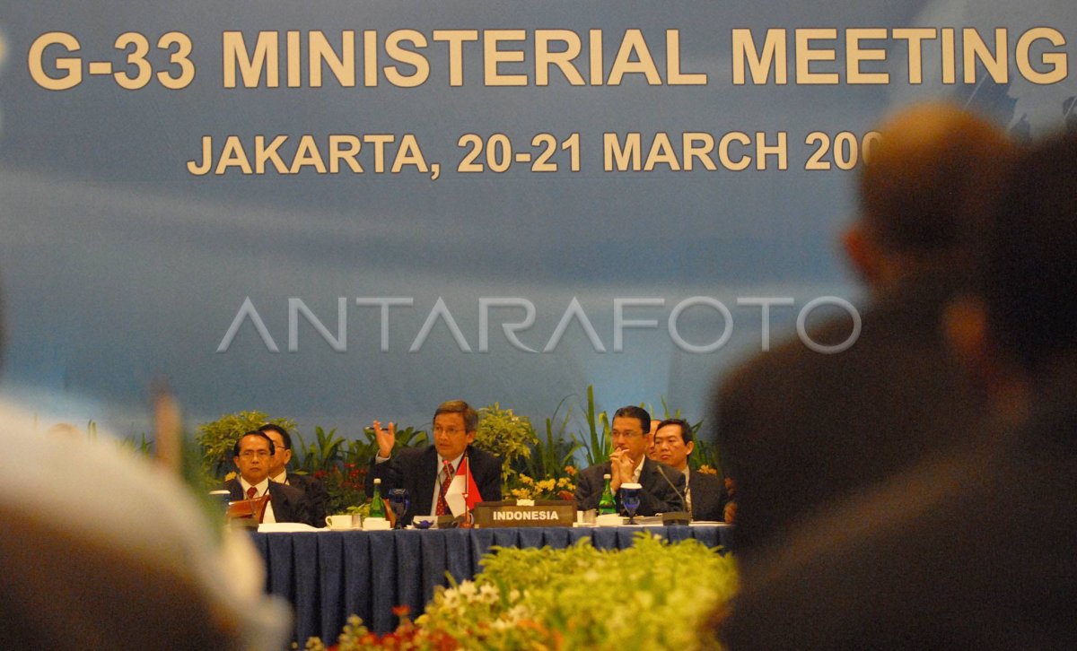 G33 MEETING
