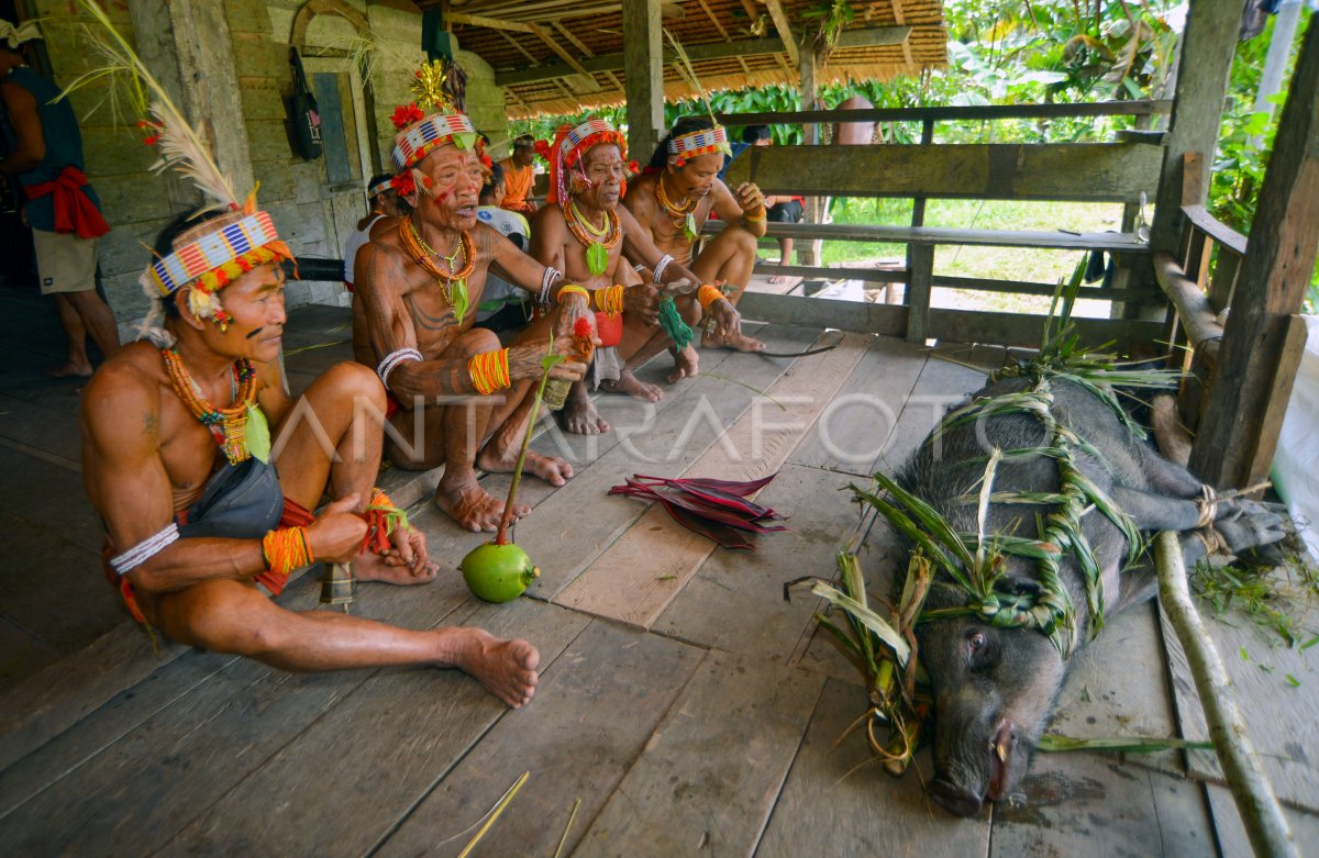 A custom ceremony commemorates death in Mentawai