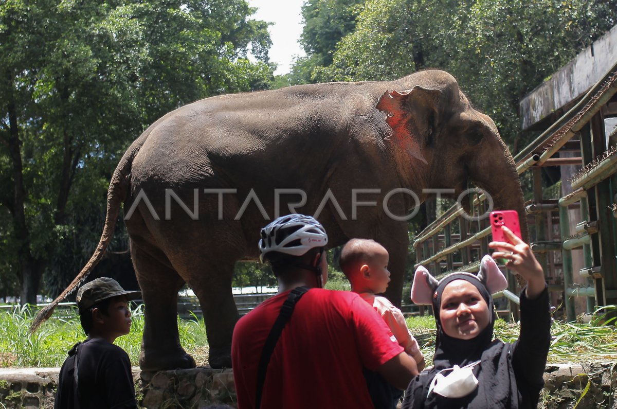 Libur hari peringatan Isra Miraj Ragunan