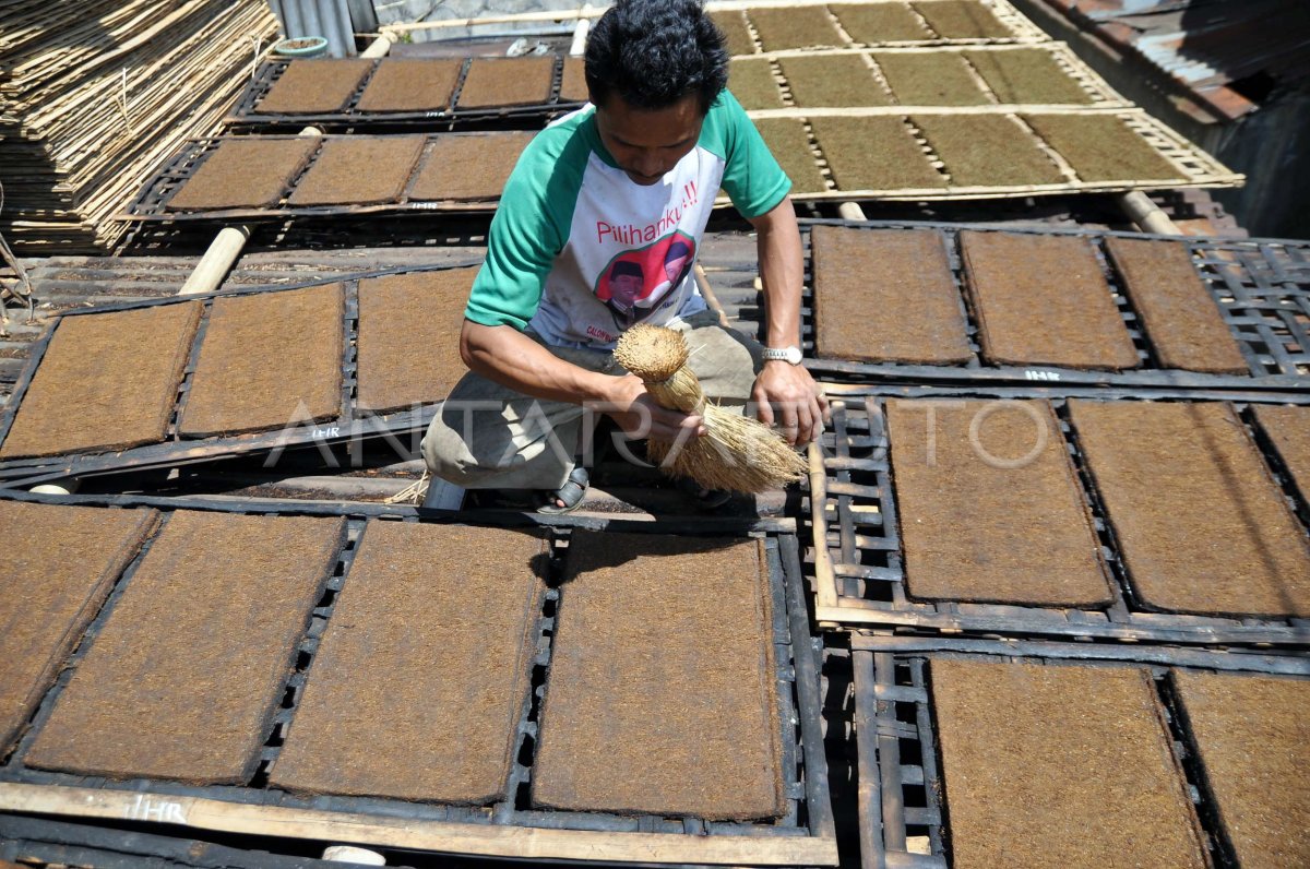 TOBACCO GARANGAN
