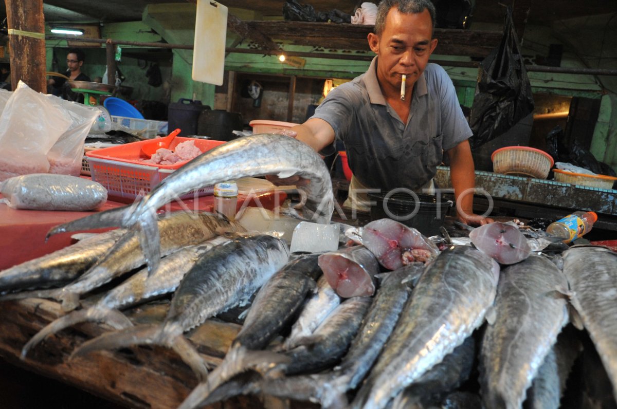 Mengungkap Keberagaman Ikan Tenggiri Perairan Indonesia yang Menakjubkan