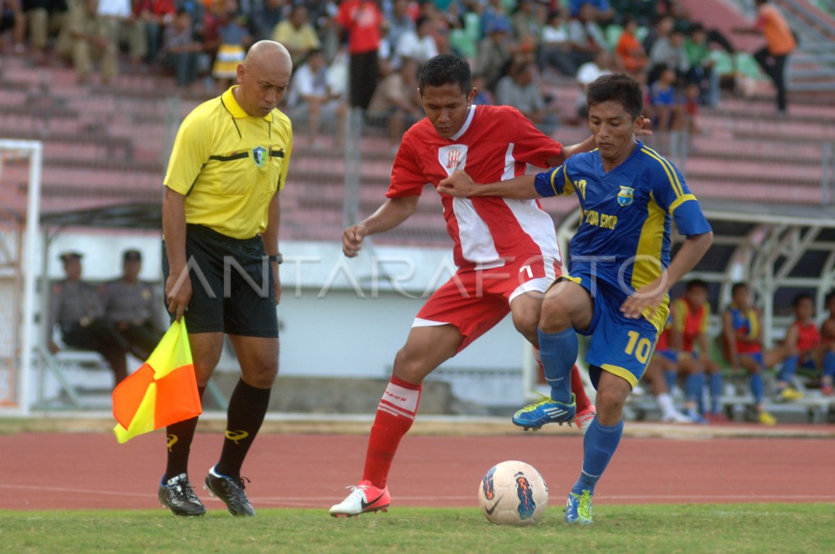 Jinsiy dumba va eshakning havaskor fotosuratlari