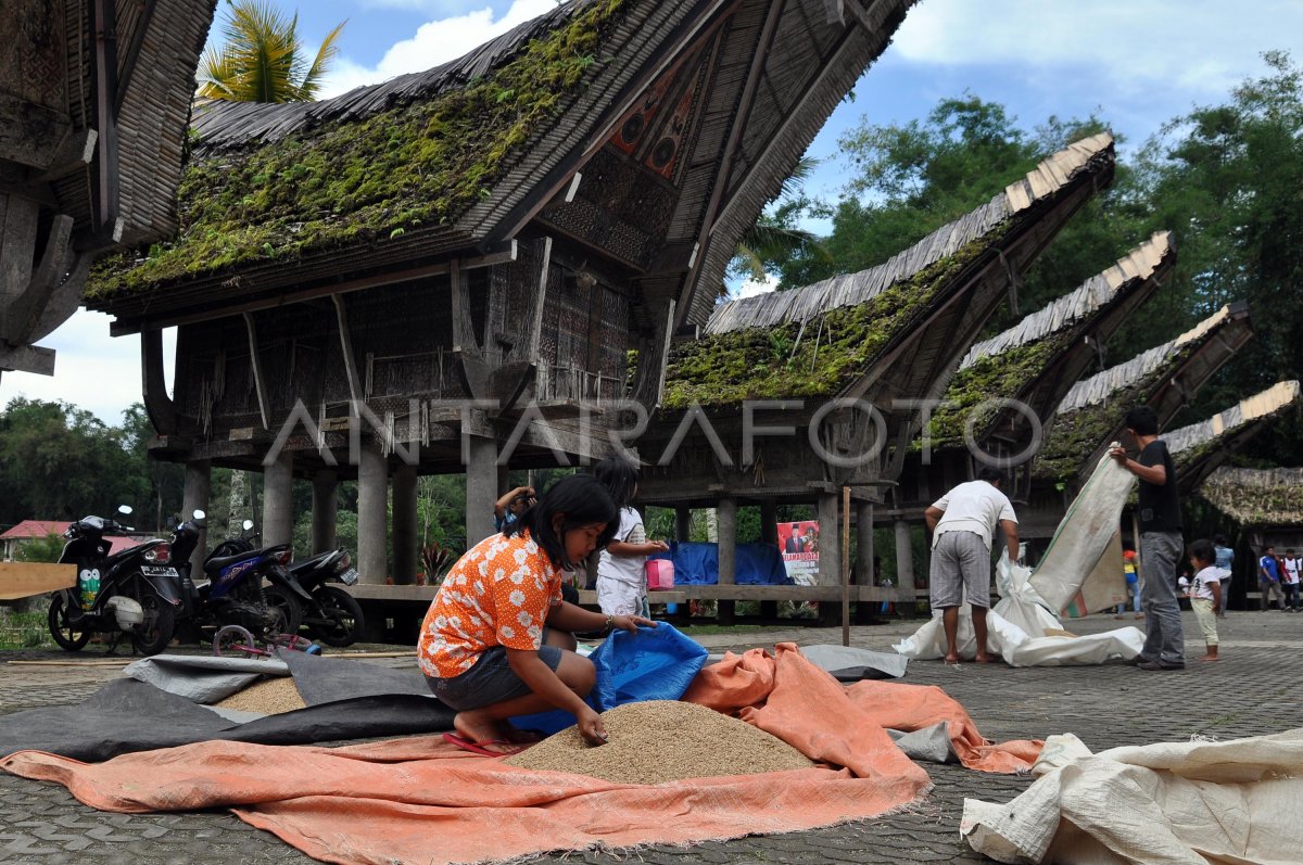 Yalangoch tanalardan Yalangoch tanalardan