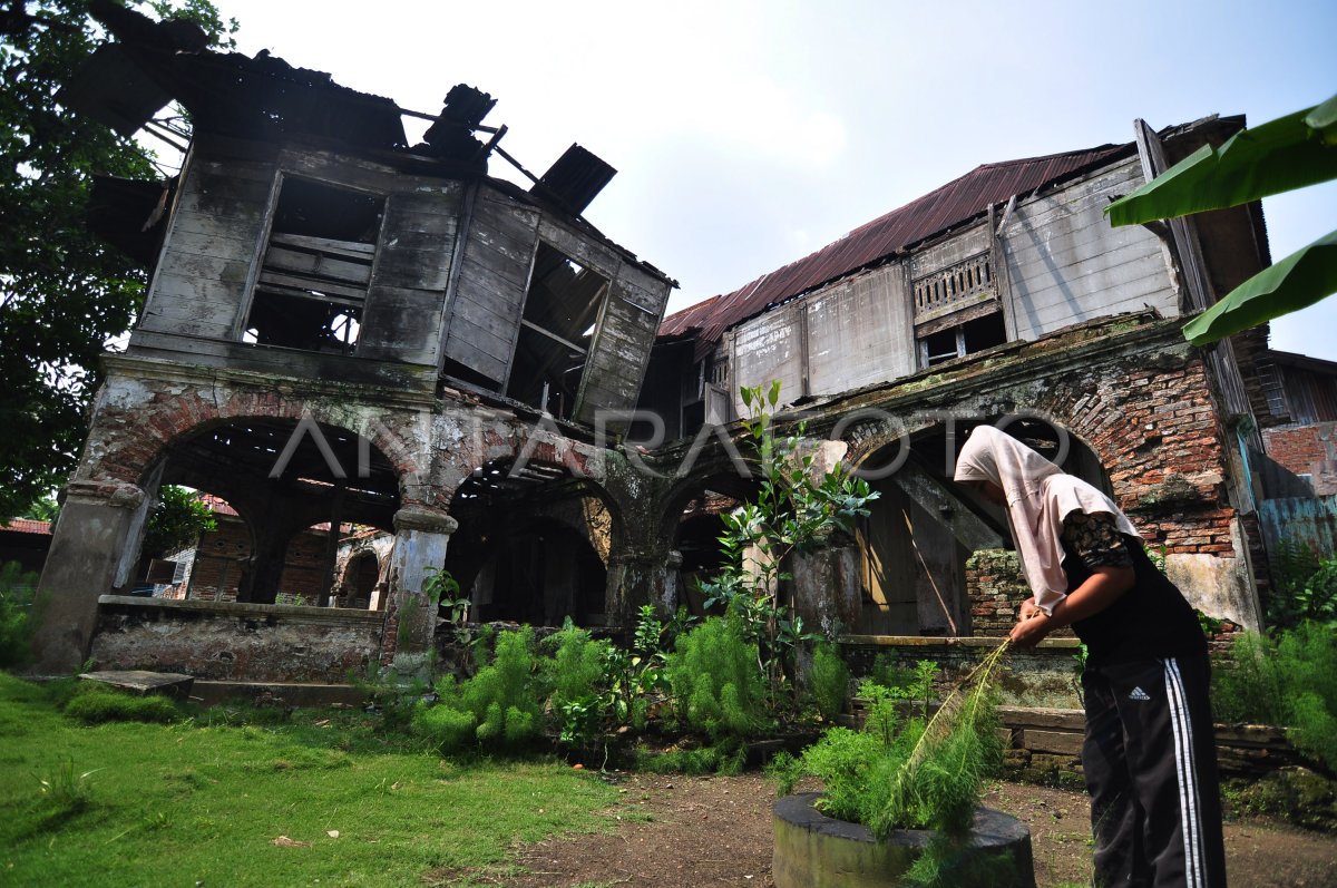 Busty BBW porno videolar