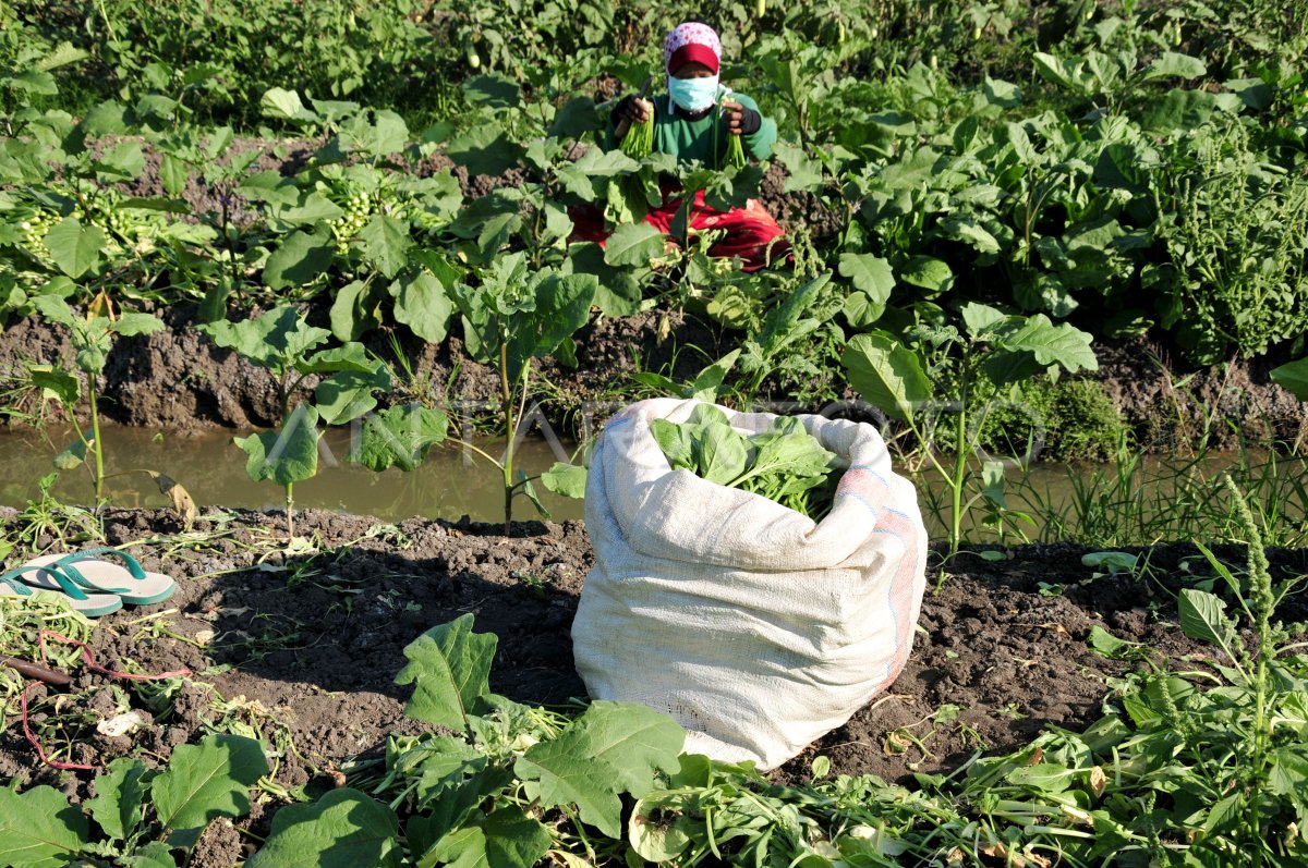 COMMUTATION DE LA SAISON SÈCHE