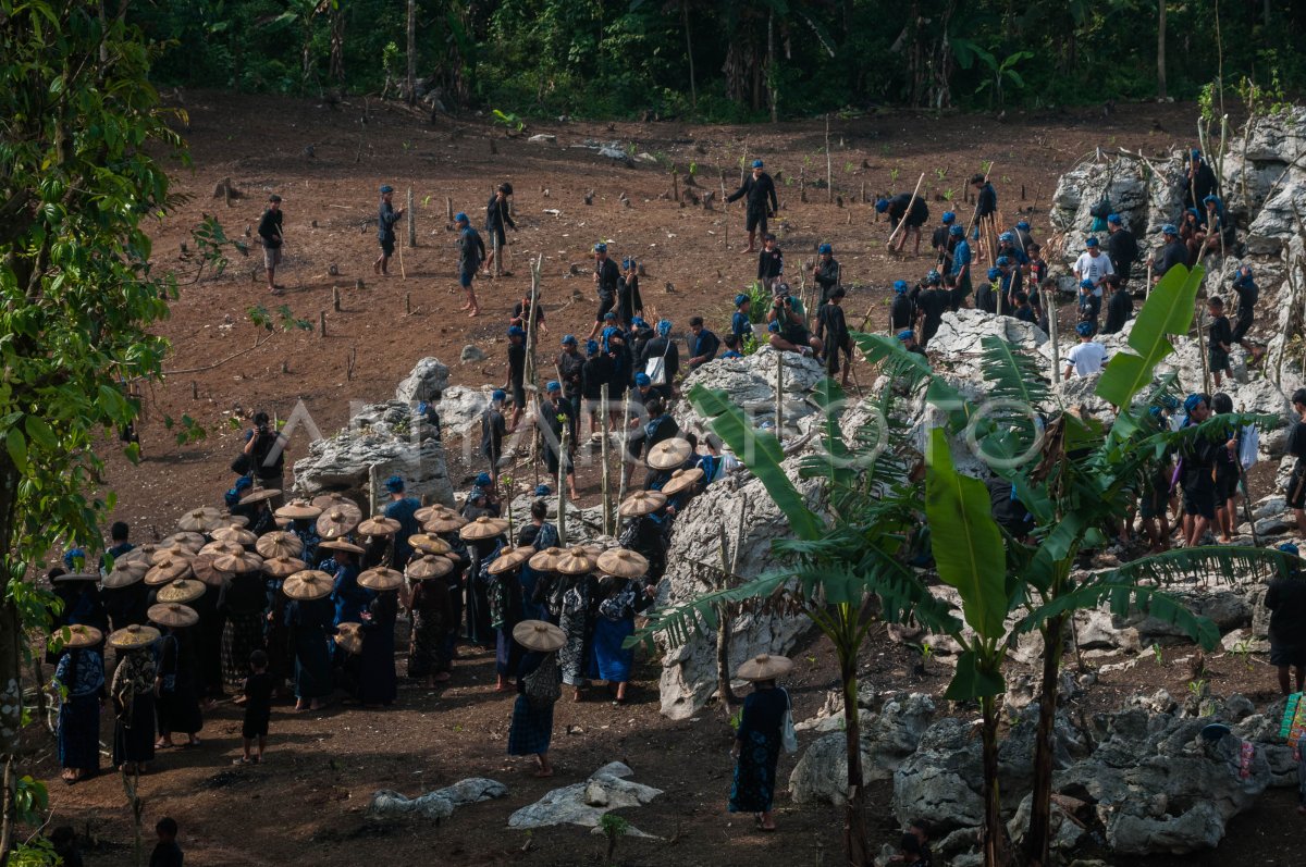 TRADITION OF THE NGASEUK TRIBE OF BADUY | ANTARA Foto