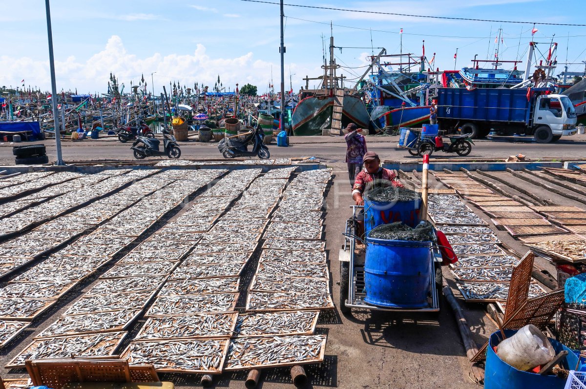 Industri pengolahan ikan asin kesulitan bahan baku