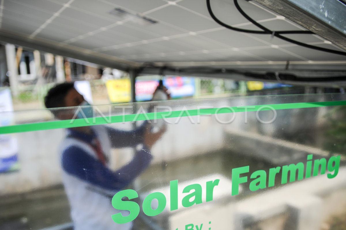 Inovasi di Dunia Perkebunan: Menuju Pertanian yang Lebih Berkelanjutan dan Efisien