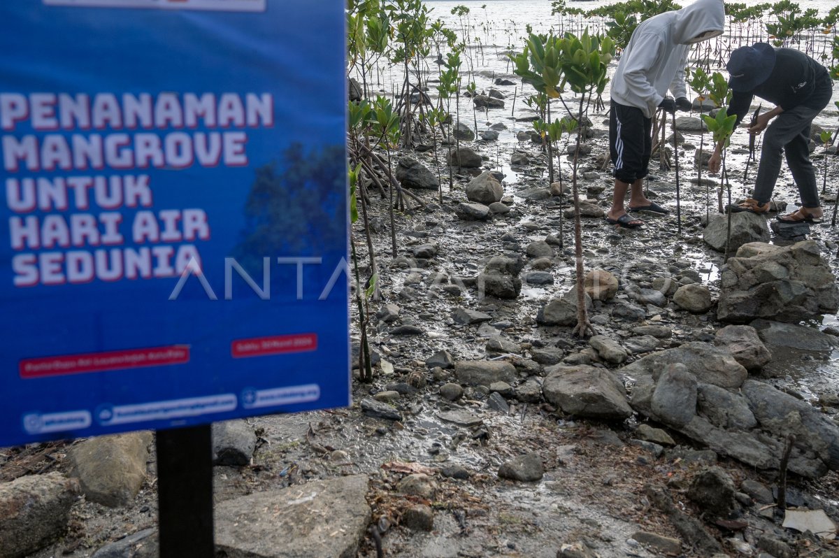 Peringatan Hari Air Sedunia di Palu