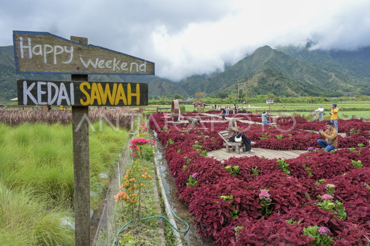Jelajah Kebun Organik Dan Pertanian Wisata Lombok