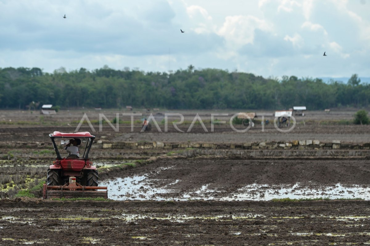 Alokasi dana desa untuk ketahanan pangan