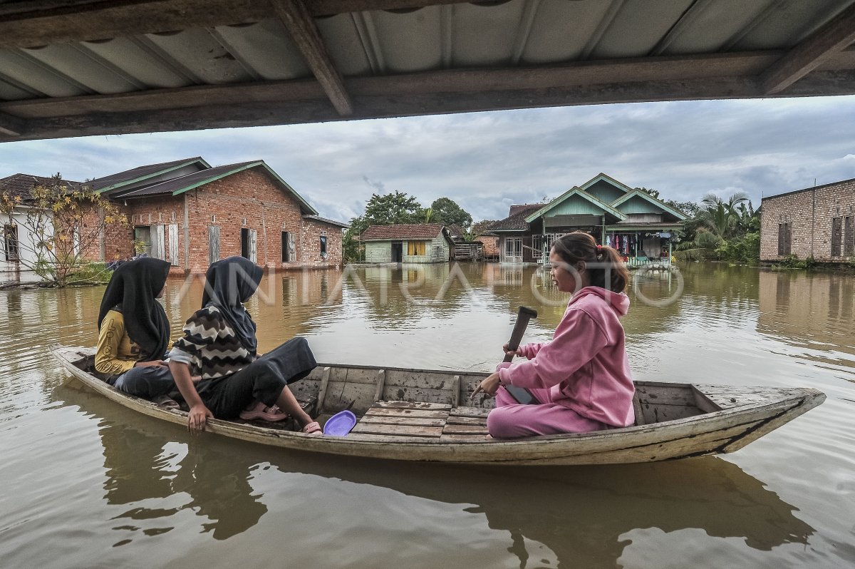 Impact of Daily River River in Jambi