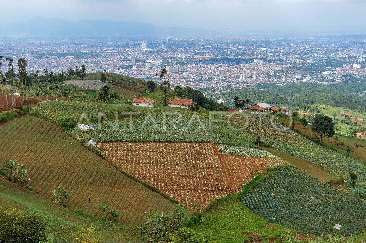 Lahan kritis Kawasan Bandung Utara