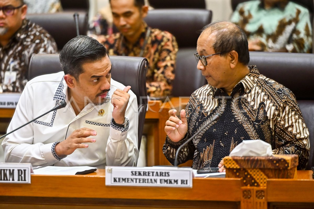 UMKM Minister Raker with Commission VII DPR
