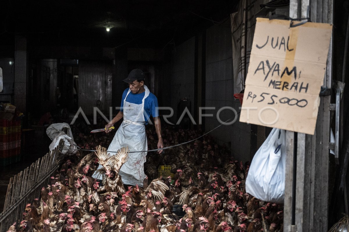 Penurunan perputaran uang saat libur Idul Fitri 1446 H