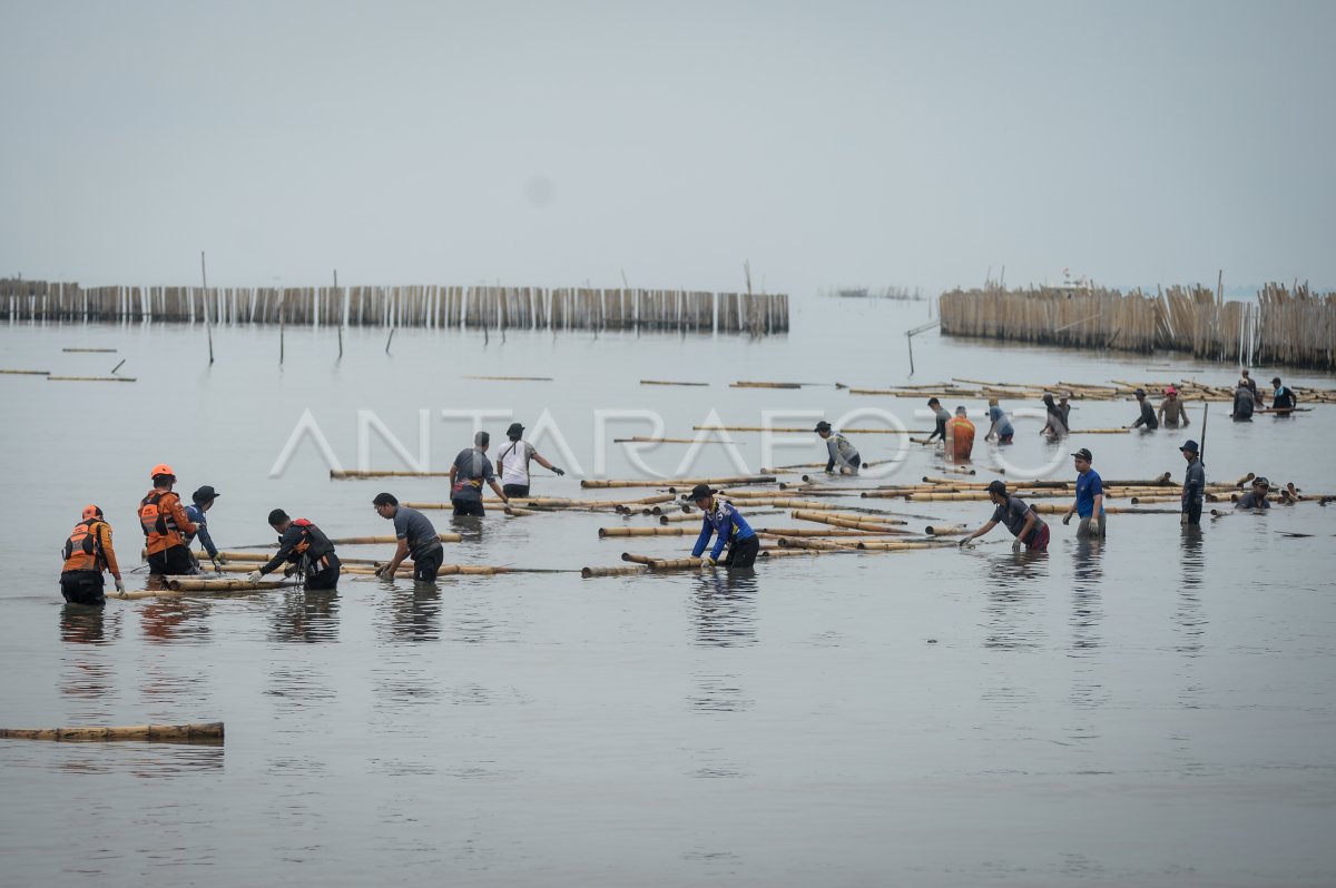 KKP bongkar sisa pagar laut di Tangerang